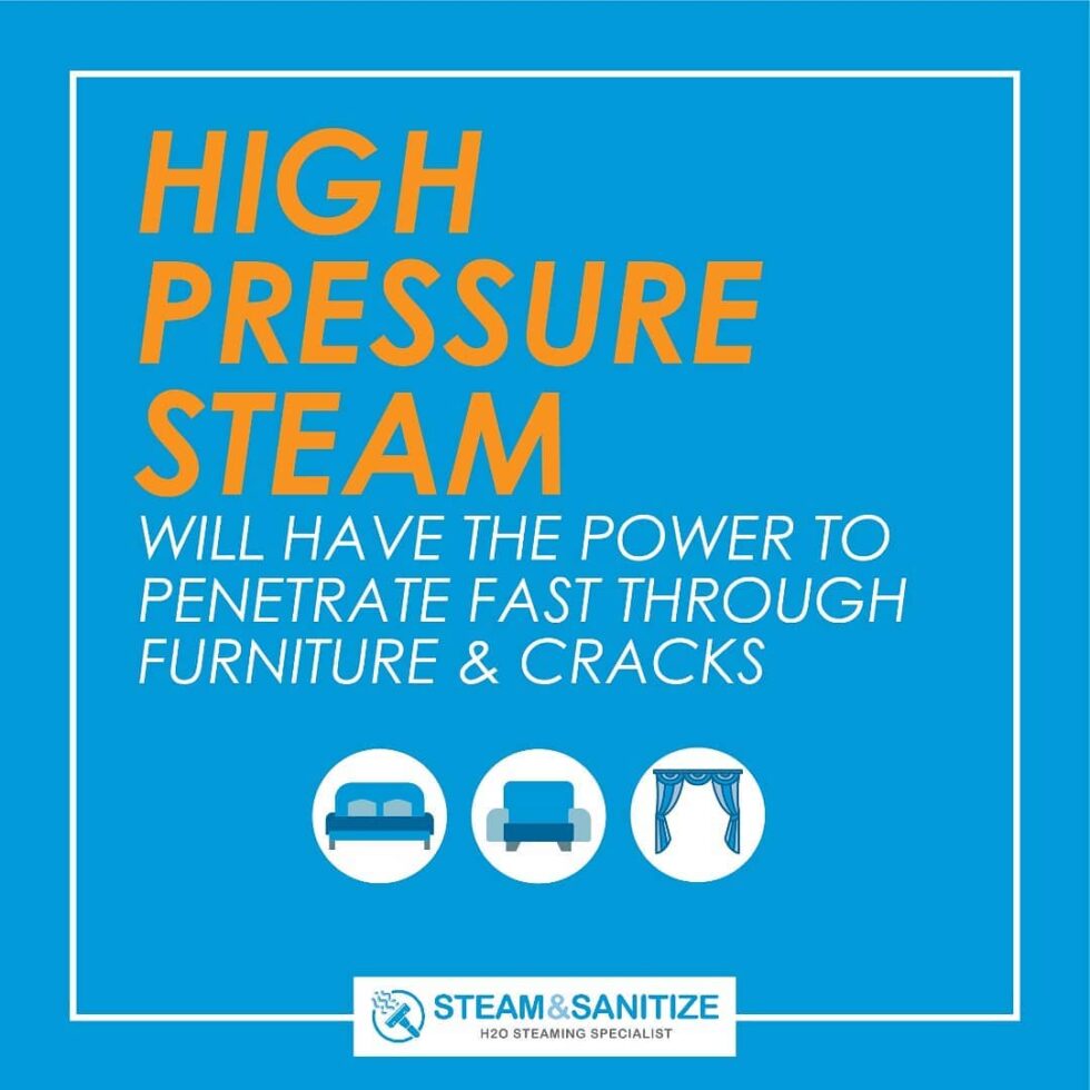 Steam Cleaning Steam & Sanitize